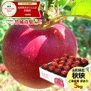 【10月上旬から順次出荷予定】山形県産 訳あり りんご 秋映 5kg(ご家庭用/11〜23玉入り/生食可)※日時指定はメールで※【山形県産 リンゴ 林檎 app...