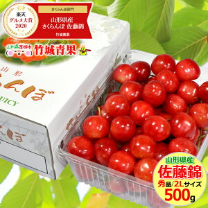 【6月中旬〜日時指定OK】さくらんぼ 佐藤錦 500g (露地/秀品/2Lサイズ/ばら詰め)【露地物/山形県産/サクランボ/果物/フルーツ/ギフト/贈り物/贈答品/人気/売れ筋/ランキング入賞/山形県/送料無料/お取り寄せ】