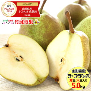 【10月下旬〜日時指定OK】山形県産 洋梨 ラ・フランス 5kg (秀品/大玉/12玉〜16玉入り)【西洋梨/ラフランス/ギフト/贈り物/贈答/お祝/お礼/内祝い/出産祝い/プレゼント/御歳暮/御歳暮ギフト/お歳暮ギフト/冬ギフト/果物/フルーツ/山形県/送料無料/お取り寄せ】