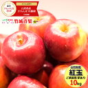 【出荷中】山形県産 ご家庭用 りんご 紅玉(こうぎょく) 10kg(28玉〜60玉入り/生食可/加工用)【山形産/りんご/リンゴ/林檎/訳あり/わけあり/自宅用/家庭用/果物/フルーツ/人気/売れ筋/10キロ/山形県/送料無料/お取り寄せ】