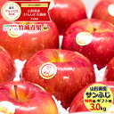 【11月上旬〜日時指定OK】冬ギフト山形県産 サンふじ りんご 3kg (贈答用/特秀品/8玉〜11玉入り)リンゴ/林檎/蜜入り/御年賀/贈り物/お祝/お礼/お返し/お年賀/プレゼント/人気/果物/フルーツ/3キロ/お取り寄せ