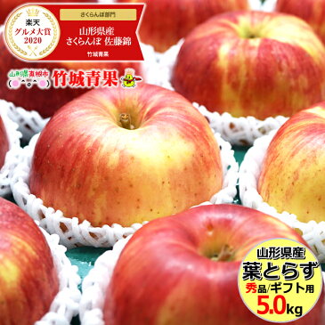 【11月上旬〜日時指定OK】りんご 葉とらずりんご 5kg (秀品/14玉〜20玉入り)【山形県産/リンゴ/サンふじ/葉とらずふじ/葉とらずサンふじ/ギフト/贈り物/贈答/お祝/お礼/内祝い/名入れ/プレゼント/お歳暮/冬ギフト/果物/フルーツ/5キロ/送料無料/お取り寄せ】
