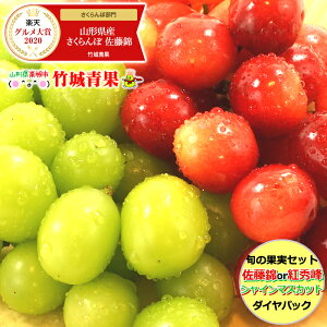 【6月下旬〜出荷開始】父の日/お中元/ギフト さくらんぼ 佐藤錦or紅秀峰 2Lサイズ＆シャインマスカット ダイヤパック(冷蔵/秀品/各100g×2パック)【サクランボ/ぶどう/果物/フルーツ/ギフト/贈り物/贈答品/人気/売れ筋/山形県/送料無料/御中元】