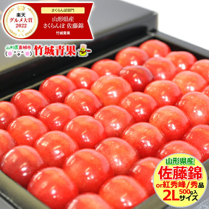 【あす楽対応/出荷中】さくらんぼ 佐藤錦or紅秀峰 500g (露地/特秀品/2Lサイズ/手詰め/化粧箱)【サクランボ 山形県】【御中元 お中元 夏 ギフト 送料無料 暑中見舞い 残暑見舞い プレゼント 果物 フルーツ 人気 産地直送 お取り寄せ 贈り物】