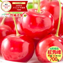 さくらんぼ 紅秀峰 700g (露地/秀品/3Lサイズ/バラ詰め)