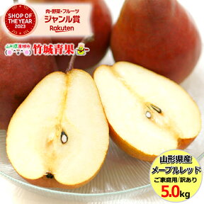 【】山形県産 洋梨 メープルレッド 5kg(ご家庭用/10玉〜25玉入り)※日時指定はメールで※【山形産 なし ナシ 梨 西洋梨 メープル・レッド 訳あり わけあり 自宅用 家庭用 果物 フルーツ 人気 売れ筋 5キロ 山形県 送料無料 お取り寄せ】