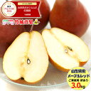 【10月上旬から順次出荷予定】山形県産 ご家庭用 洋梨 メープルレッド 3kg(6~15玉入り)※日時指定はメールで※【山形産 産地直送 お取り寄せ 梨 洋なし 洋ナシ 西洋梨 送料無料 果物 フルーツ 人気 産地直送】