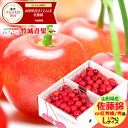 ★クール便出荷★ 即日発送実施中! 山形県産 さくらんぼ 佐藤錦or紅秀峰(露地/秀品/Lサイズ/1kg/ばら詰め)※日時指定はメールで※【2025 お中元 暑...