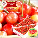★クール便出荷★ 即日発送実施中! 山形県産 ご家庭用 さくらんぼ 佐藤錦or紅秀峰(露地/Lサイズ/1kg/ばら詰め)※日時指定はメールで※【露地 露地物 訳...