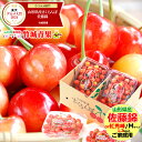 ★クール便出荷★ 山形県産 ご家庭用 さくらんぼ 佐藤錦or紅秀峰(露地/Mサイズ/1.2kg/ばら詰め/フードパック)【露地 露地物 訳あり わけあり 山形県...