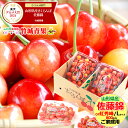 ★クール便出荷★ 山形県産 ご家庭用 さくらんぼ 佐藤錦or紅秀峰(露地/Lサイズ/800g/ばら詰め/フードパック)【露地 露地物 訳あり わけあり 山形県産...
