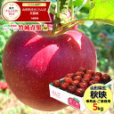 【10月上旬から順次出荷予定】山形県産 訳あり りんご 秋映 5kg(ご家庭用/準秀品/13〜23玉/生食可)※日時指定はメールで※【山形県産 青森県産 リンゴ...