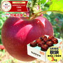 【10月上旬から順次出荷予定】山形県産 訳あり りんご 秋映 3kg(ご家庭用/準秀品/6〜14玉/生食可)※日時指定はメールで※【山形県産 青森県産 リンゴ ...
