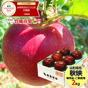 【10月上旬から順次出荷予定】山形県産 訳あり りんご 秋映 2kg(ご家庭用/準秀品/5〜9玉/生食可)※日時指定はメールで※【山形県産 青森県産 リンゴ 林...