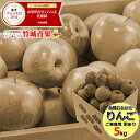 【即日発送実施中】\★画像セピアポイント10倍★/ 産地厳選 品種おまかせりんご 5kg(ご家庭用/11〜30玉入り/生食可)【山形県産 青森県産 リンゴ 林檎...