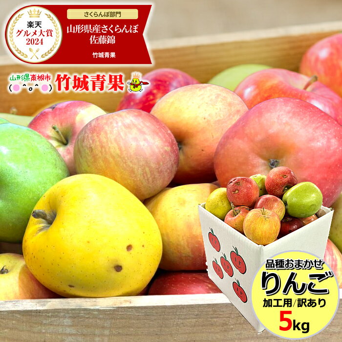 【即日発送実施中!】産地厳選 加工用 品種おまかせりんご 5kg(ご家庭用/11〜30玉入り)【山形県産 青森県産 リンゴ 林檎 apple 苹果 蘋果 蜜入り...