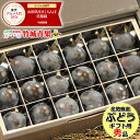 【9月中旬から順次出荷予定】産地厳選 ぶどう ピオーネ プレミアムボックス(秀品/18粒)※日時指定はメールで※【ぶどう ブドウ 葡萄 御中元 お中元 夏 ギフ...
