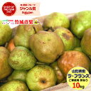 【10月下旬から順次出荷予定】山形県産 訳あり 洋梨 ラ・フランス 10kg(ご家庭用/玉数おまかせ)※日時指定はメールで※【西洋梨 ラフランス 自宅用 家庭用 果物 フルーツ 人気 売れ筋 送料無料 秋の味覚 冬の味覚 らふらんす わけあり 訳あり おうち用】