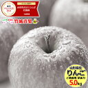 【即日発送実施中】\★画像白黒ポイント5倍★/ 山形県産 訳あり りんご サンふじ 5kg(ご家庭用/11〜23玉入り/生食可)※日時指定はメールで※【山形県産...