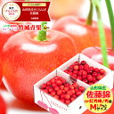 ★クール便出荷★ 即日発送実施中! 山形県産 さくらんぼ 佐藤錦or紅秀峰(露地/秀品/Mサイズ/1kg/ばら詰め)※日時指定はメールで※【2025 お中元 暑...