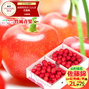 ★クール便出荷★ 山形県産 さくらんぼ 佐藤錦or紅秀峰(露地/秀品/2Lサイズ/700g/ばら詰め)※日時指定はメールで※【2025 お中元 暑中見舞い 残暑...