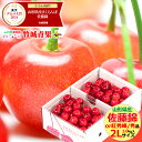 ★クール便出荷★ 山形県産 さくらんぼ 佐藤錦or紅秀峰(露地/秀品/2Lサイズ/1kg/ばら詰め)※日時指定はメールで※【2025 お中元 暑中見舞い 残暑見舞い 夏 プレゼント 果物 フルーツ ギフト 贈り物 贈答品 人気 売れ筋】