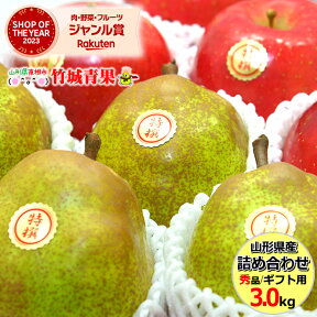 【 出荷中 】冬ギフト 冬の果実2色詰め合わせ 3kg (秀品/7玉〜10玉入り/サンふじりんご＆ラ・フランス)※日時指定はメールで※【山形県産 リンゴ ラフランス 贈り物 贈答 お祝 お礼 御歳暮 お歳暮ギフト 冬ギフト 果物 フルーツ 送料無料 お取り寄せ】