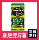【送料無料】【第2類医薬品】キャベジンコーワαプラス 200錠