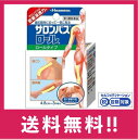 【送料無料】【第3類医薬品】サロンパスロール ロールタイプ 1個 4.8cm×3m巻き はさみ不要・ミシン目入【セルフメディケーション税制対象】【定形外郵便】