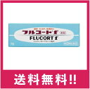 【送料無料】【指定第2類医薬品】フルコートf 5g【定形外郵便】