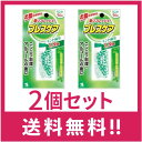 【送料無料】小林製薬 ブレスケア ミント 50粒入 2個セット【定形外郵便】