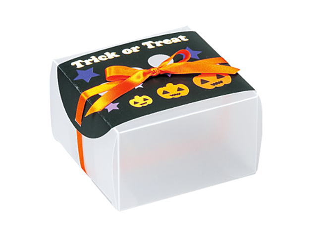 ハロウィン クリアケース ラッピング ラッピングケース 包材 クッキー　焼き菓子 詰め合わせ ボックス ケース 化粧箱　ラッピング ハロウィーン