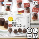 バレンタイン 手作り キット 人気 カヌレショコラ 6個分 簡単 専門店みたいな カヌレ チョコケーキ ラッピング 付き バレンタインデー バレンタイン 友チョ...