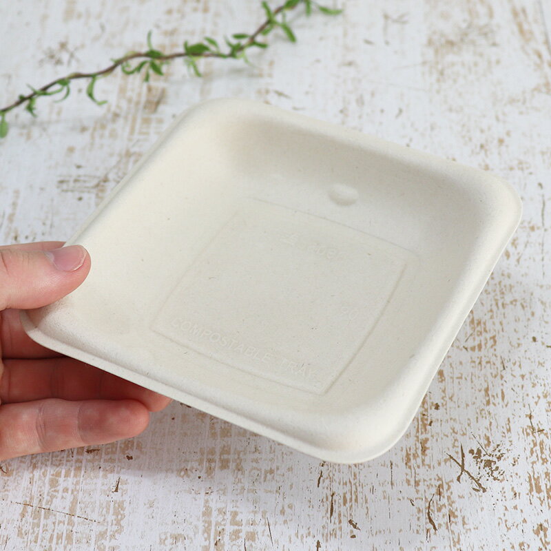 バガス 再生紙製容器 パルプモールド 6インチ角浅底トレイ 130×130×26 300個セット (サトウキビの搾りカスから再生された堆肥可能なパルプ製)業務用...