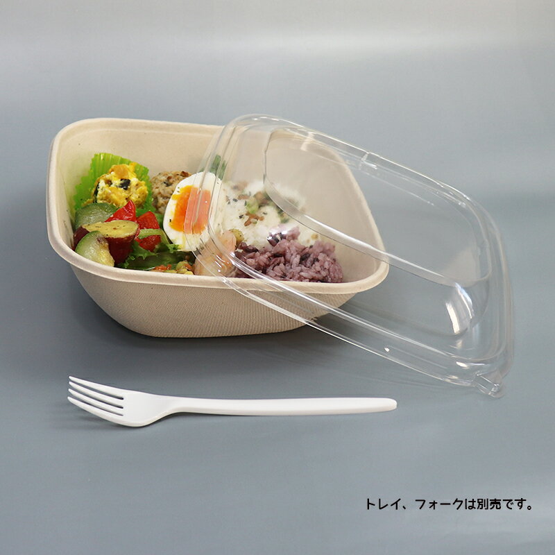 バガス 再生紙製容器 スロープ型パルプ容器用 18cm角用 PET 蓋 190×190×40 300個セット (サトウキビの搾りカスから再生された堆肥可能なパル...