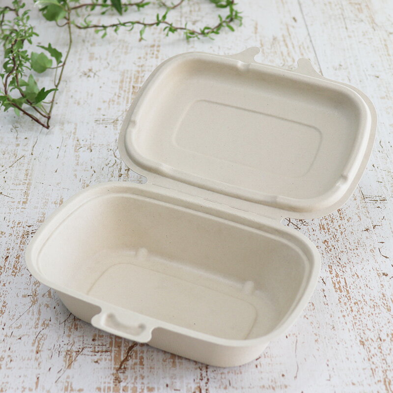 バガス 再生紙製容器 パルプヒンジコンテナ S (450ml)174×134×45 300個セット (サトウキビの搾りカスから再生された堆肥可能なパルプ製)業務...