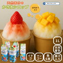 かき氷 シロップ セット 無添加 天然着色料のかき氷シロップ1L×12本セット いちご6本+マンゴー6本 (果汁入り・保存料不使用) 業務用 果汁を30%以上使用 合成着色料や保存料不使用の自然派シロップ