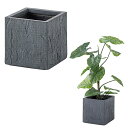 グリーンベース GRNB-208 クワズイモ 植木鉢 グリーンベース 鉢 6号用 植物 フェイクグリーン 東谷 AZUMAYA (メーカー直送)(本州・四国・九...