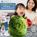 かき氷 シロップ 業務用 国際 輸出基準 準拠品 MIYAZAKI JAPAN かき氷シロップ はちみつ入り 1.8L 50杯分 抹茶 maccha 宇治 緑 お茶 氷みつ 宮崎県発 国産 シロップ 業務用 プロ用 カキ氷