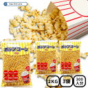 'ハニー ポップコーン豆2kg × 3袋 約300食分 ポップコーン 豆 業務用 大容量 バタフライ 縁日 露店 出店 テイクアウト お祭り 屋台 カフェ 飲食...