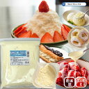 コンデンスミルク パウダー 粉末状 練乳 練乳パウダー 500g 業務用 製菓材料 超バニラ バニラ パウダー ミルク味 トッピング ドーナツ チュロス ドーナッツ ワッフル かき氷 チーズケーキ コンデンスミルク ポップコーン 砂糖不使用