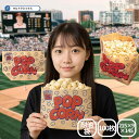 ポップコーン 袋 クラフト 紙袋 耐油性 紙袋 100枚 マチ付き 215(マチ90)×145mm 業務用 耐油袋 唐揚げ コロッケ シャカシャカ ポテト クラフト紙 テイクアウト スナック ワックス かわいい レトロ