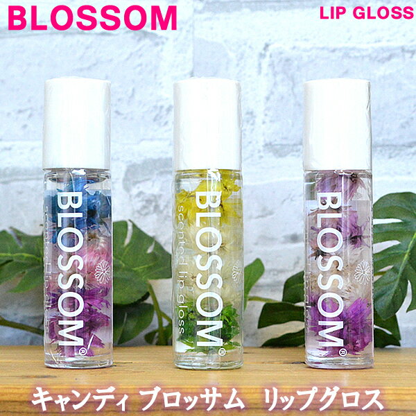 【キャンディブロッソム】【BLOSSOM】【Lip Gloss】リップグロス全5種類【Hawaii】【ハワイ 雑貨】【ハワイアン】ハワイアン雑貨【ハワイアンケア】【ハワイ Hawaii】