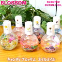 ネイルオイル（2000円程度） 【キャンディブロッソム】【BLOSSOM】ネイルオイル（キューティクルオイル）全6種類 Hawaii ハワイ雑貨 ハワイアン ハワイアン雑貨 【ハワイアン♪雑貨】【ハワイ Hawaii】