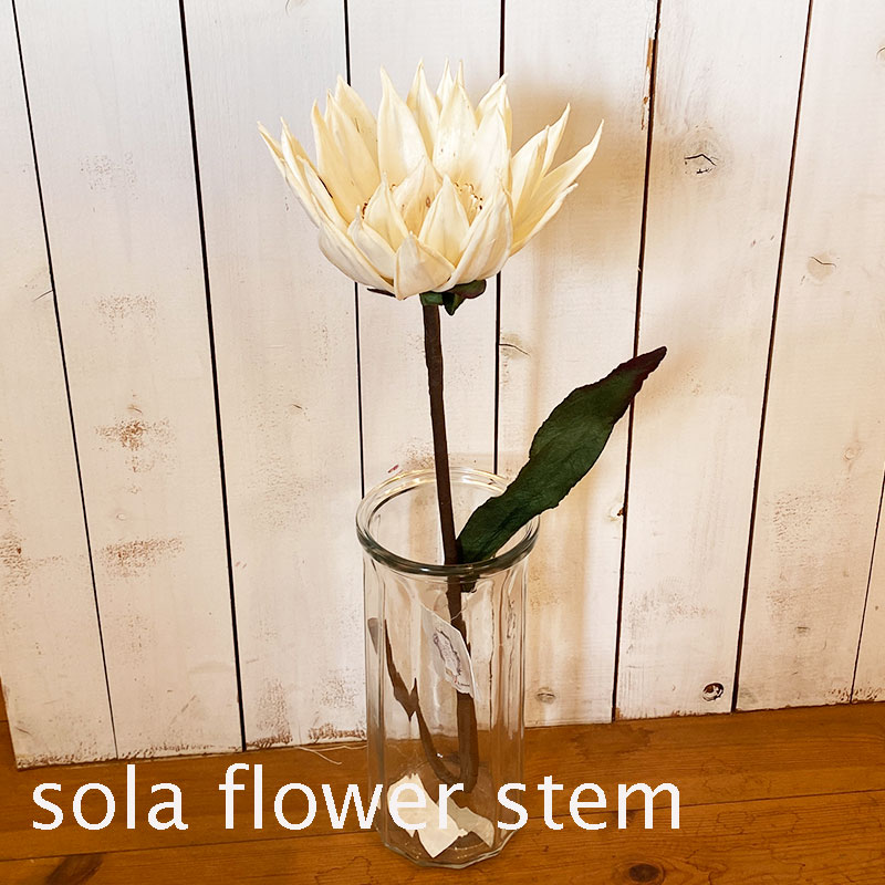 おしゃれなソラフラワー sola flower ソラフラワー　ソラステム　フラワーアレンジメント　インテリア　ステム　ウォーターリリィ プレゼント　ギフト