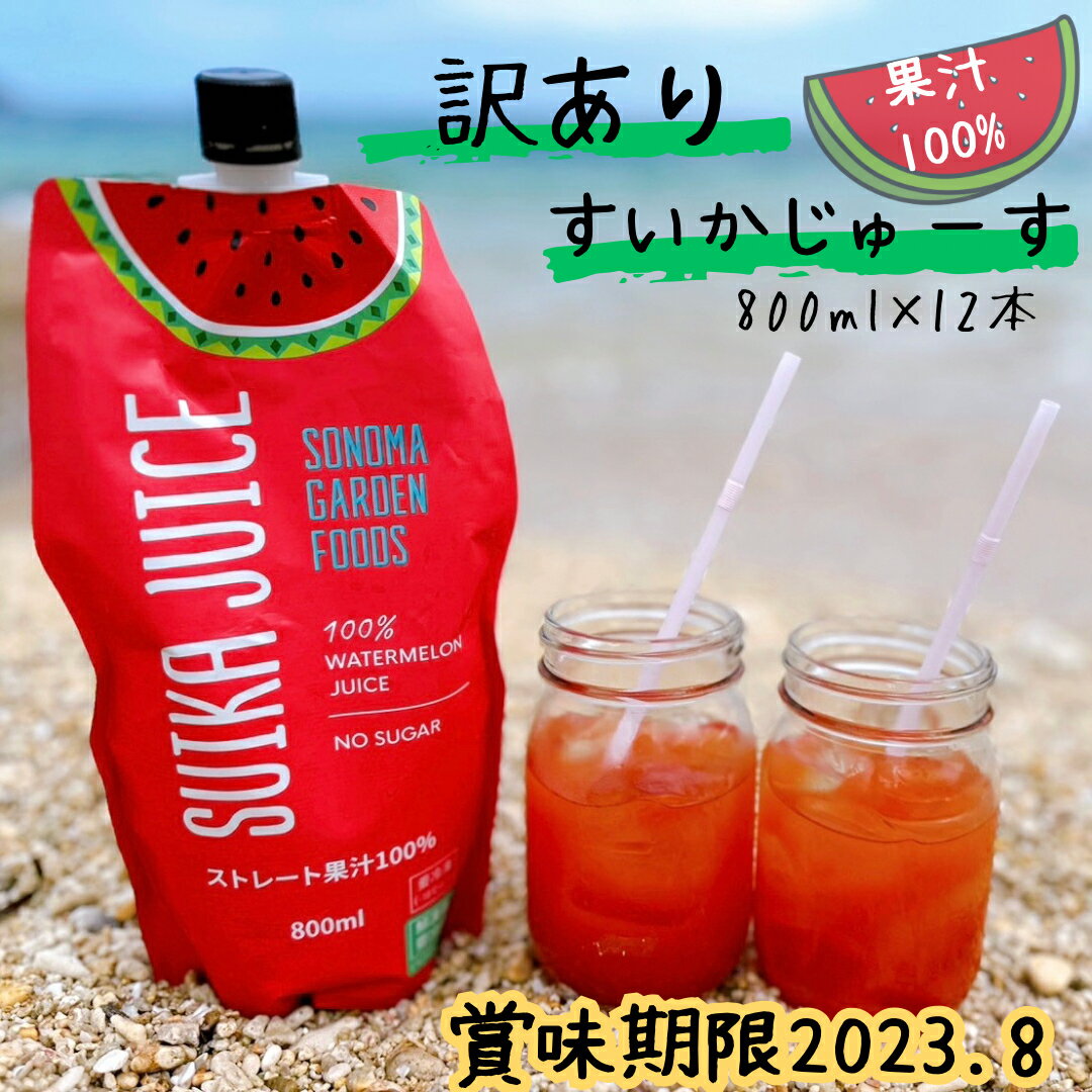 【賞味期限切れ】 スイカジュース (800ml×12本) 送料無料 果汁100%ジュース ストレートジュース 砂糖不使用 EC限定 大容量 お徳用 フードロス削減