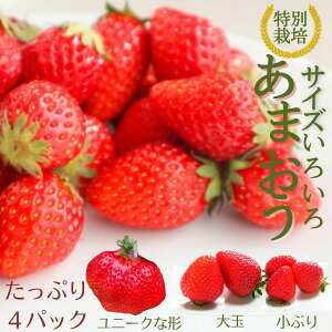 【認証率1％ 特別栽培】あまおう サイズ色々 いちご 大容量 お買い得 福岡県産 1140g