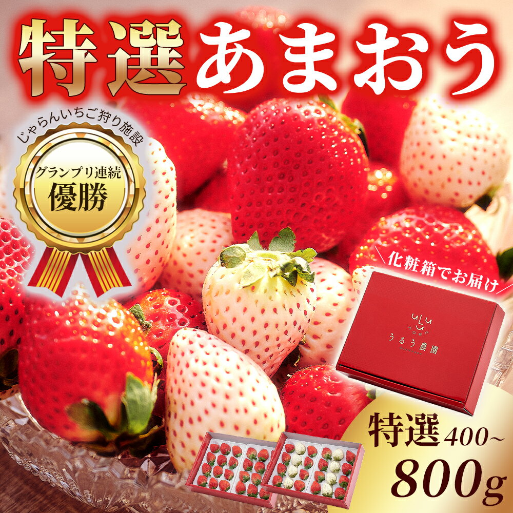 【ポイント10倍 スーパーセール!! 4日0時スタート!!】あまおう 特選 いちご 福岡県産 400g 800g 赤玉 紅白 お歳暮 クリスマス 正月 イベント 祭り フェス プレゼント いちご ギフト イチゴ 果物 フルーツ 福岡県 スイーツ 特産品 いちご 苺 旬 ひなまつり ひな祭り