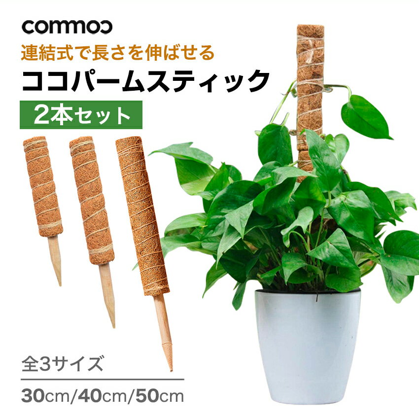 ＼お買い物マラソン／ココパームスティック 2本セット 植物 支柱 おしゃれ ココ スティック 50cm 40cm 30cm モンステラ 観葉植物 植物支柱 ガーデン 園芸用 園芸支柱パーツ 高さ調整可能 連結 延長 木製 ココナッツ支柱 支え 観葉支柱 調整可能 頑丈 耐久