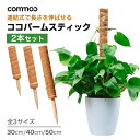 ココパームスティック 2本セット 植物 支柱 おしゃれ ココ スティック 50cm 40cm 30cm モンステラ 観葉植物 植物支柱 ガーデン 園芸用 園芸支柱パーツ 高さ調整可能 連結 延長 木製 ココナッツ支柱 支え 観葉支柱 調整可能 頑丈 耐久